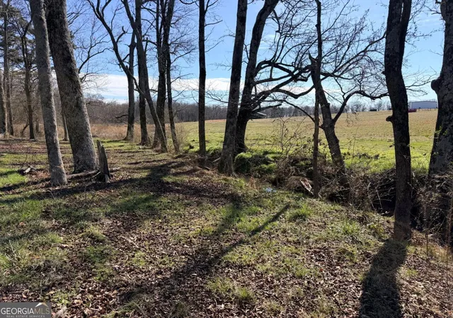 Homes for sale in Hull, GA | 0 Adams Duncan Rd #LOT 2, Hull, GA 30646 | MLS# 10798470
