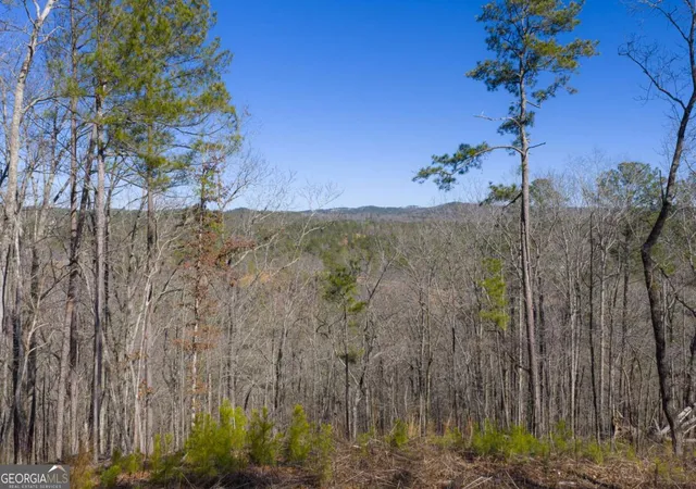 Photo 2 of Land for sale at Lot 285 Anglers Ridge Rd, Talking Rock, GA 30175 | MLS# 10692741 | Listing updated on 2026-05-12