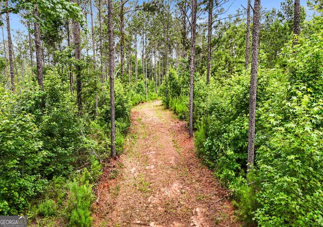Homes for sale in Roberta, GA | 0 Howard Rd, Roberta, GA 31078 | MLS# 10795899