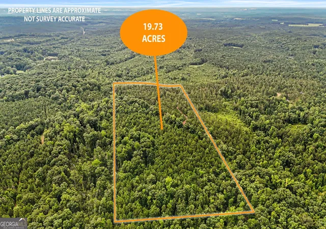 Homes for sale in Roberta, GA | 0 Howard Rd, Roberta, GA 31078 | MLS# 10795899