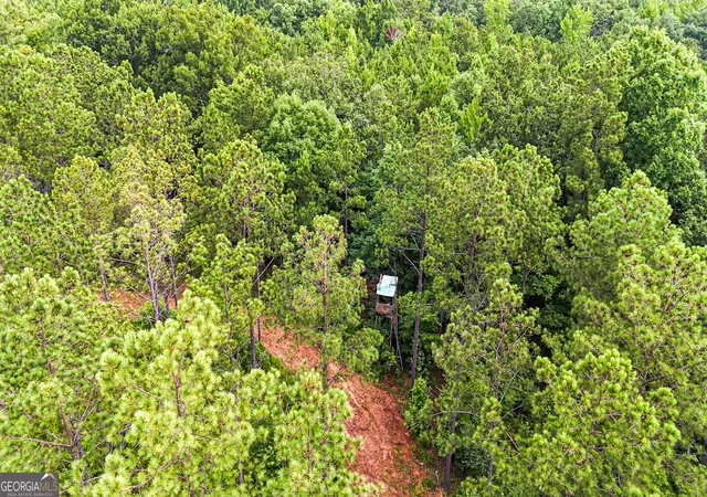 Homes for sale in Roberta, GA | 0 Howard Rd, Roberta, GA 31078 | MLS# 10795899