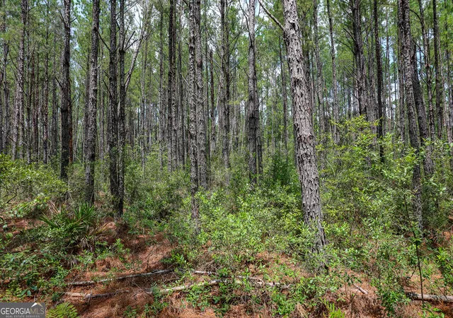 Homes for sale in Millwood, GA | 0 Grey Hawk Rd, Millwood, GA 31552 | MLS# 10571442