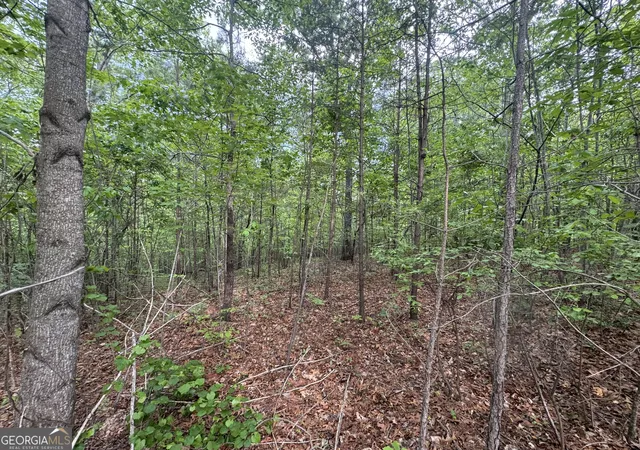 2nd image of 1786 Jones Mountain Rd, Jasper, GA 30143 | MLS# 10722994
