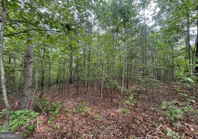 3rd image of 1786 Jones Mountain Rd, Jasper, GA 30143 | MLS# 10722994
