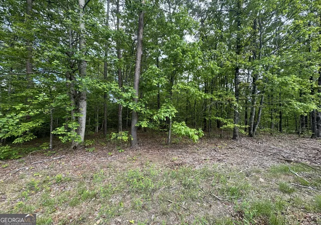 4th image of 1786 Jones Mountain Rd, Jasper, GA 30143 | MLS# 10722994