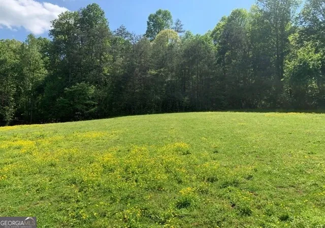 Homes for sale in Blue Ridge, GA | 22 Old Bullen Gap Rd, Blue Ridge, GA 30513 | MLS# 10706564