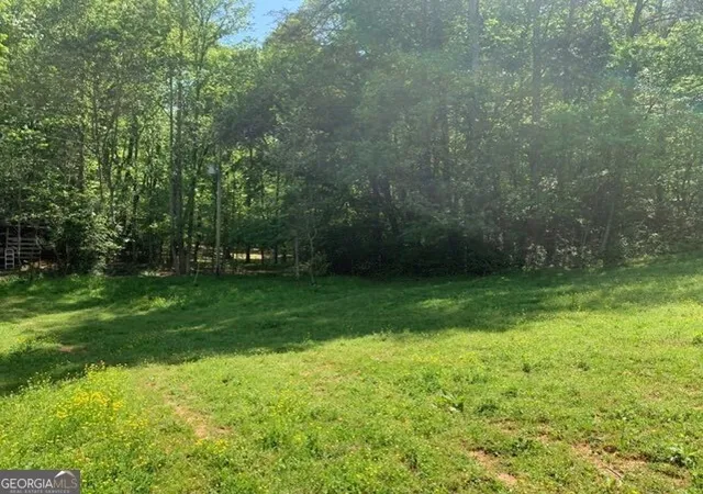 Homes for sale in Blue Ridge, GA | 22 Old Bullen Gap Rd, Blue Ridge, GA 30513 | MLS# 10706564