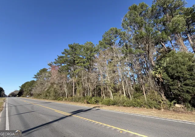 Homes for sale in Kingsland, GA | 0 Martin Luther King Jr, Kingsland, GA 31548 | MLS# 10697687