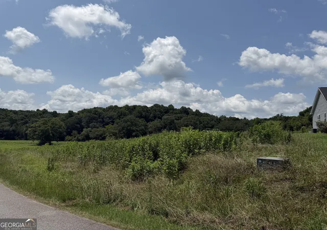 1st image of 0 Middle Fork Ln #2,4, Carnesville, GA 30521 | MLS# 10816619