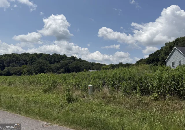 Photo 3 of Land for sale at 0 Middle Frk Ln #2,4, Carnesville, GA 30521 | MLS# 10816619 | Listing updated on 2026-08-15