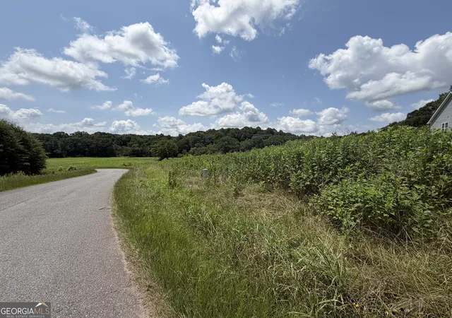 Photo 4 of Land for sale at 0 Middle Frk Ln #2,4, Carnesville, GA 30521 | MLS# 10816619 | Listing updated on 2026-08-15