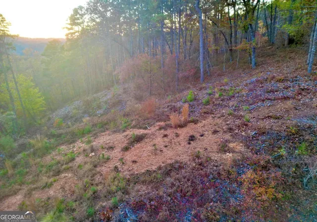 Photo 3 of Land for sale at 0 Canoe Way, Talking Rock, GA 30175 | MLS# 10644383 | Listing updated on 2026-10-09