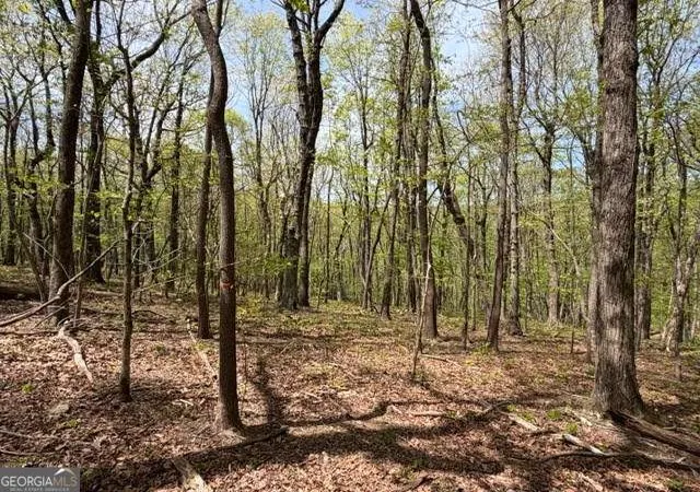 Photo 1 of Land for sale at Lot 26 Falcons Nest #26, Jasper, GA 30143 | MLS# 10762516 | Listing updated on 2026-05-26