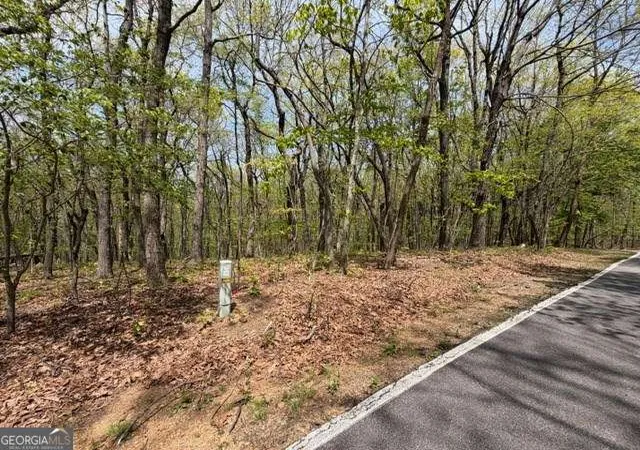 Photo 2 of Land for sale at Lot 26 Falcons Nest #26, Jasper, GA 30143 | MLS# 10762516 | Listing updated on 2026-05-26
