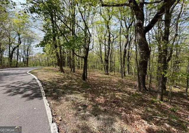 Photo 3 of Land for sale at Lot 26 Falcons Nest #26, Jasper, GA 30143 | MLS# 10762516 | Listing updated on 2026-05-26