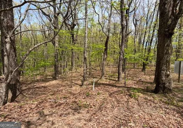 Photo 4 of Land for sale at Lot 26 Falcons Nest #26, Jasper, GA 30143 | MLS# 10762516 | Listing updated on 2026-05-26