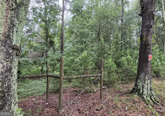 2nd image of 0 Bob Holman Rd, Athens, GA 30607 | MLS# 10820925