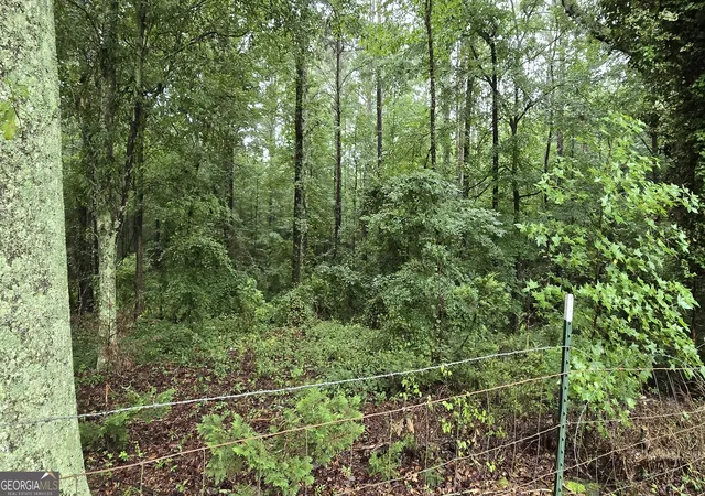 3rd image of 0 Bob Holman Rd, Athens, GA 30607 | MLS# 10820925