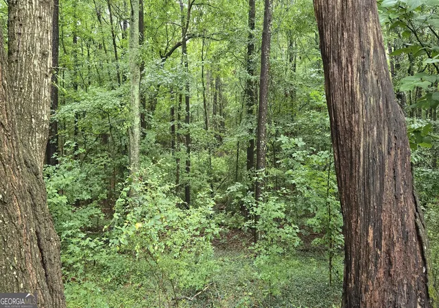 4th image of 0 Bob Holman Rd, Athens, GA 30607 | MLS# 10820925