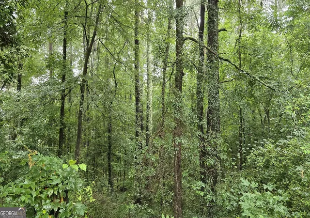 5th image of 0 Bob Holman Rd, Athens, GA 30607 | MLS# 10820925