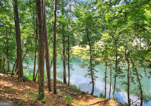 Photo 4 of Land for sale at Lt 170 Overlook Way, Ellijay, GA 30540 | MLS# 10819035 | Listing updated on 2026-08-18