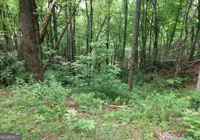 2nd image of 0 Lot 37 Saddleback Circle, Sky Valley, GA 30537 | MLS# 10781566