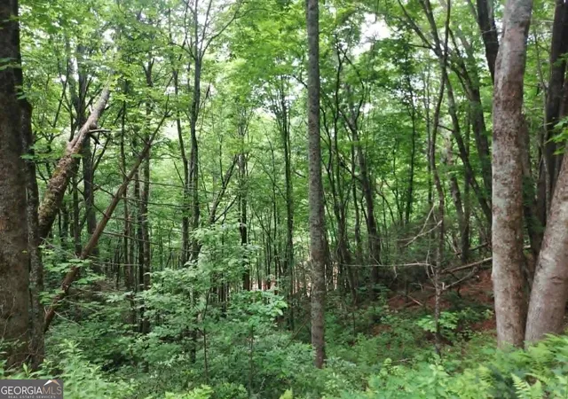 4th image of 0 Lot 37 Saddleback Circle, Sky Valley, GA 30537 | MLS# 10781566