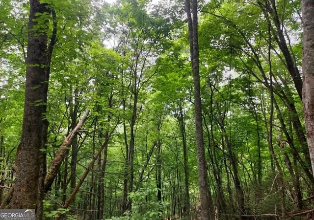 5th image of 0 Lot 37 Saddleback Circle, Sky Valley, GA 30537 | MLS# 10781566