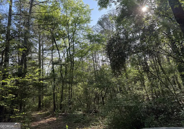 1st image of 0 Clear Lake Dr, Adairsville, GA 30103 | MLS# 10797909