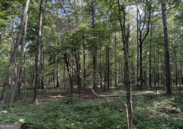 2nd image of 0 Clear Lake Dr, Adairsville, GA 30103 | MLS# 10797909