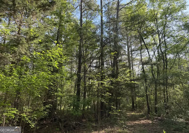 37th image of 0 Clear Lake Dr, Adairsville, GA 30103 | MLS# 10797909