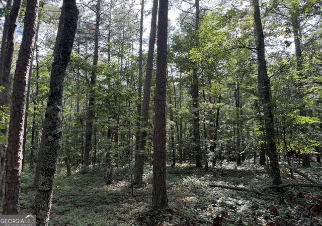 Photo 3 of Land for sale at 0 Clear Lake Dr, Adairsville, GA 30103 | MLS# 10797909 | Listing updated on 2026-08-21