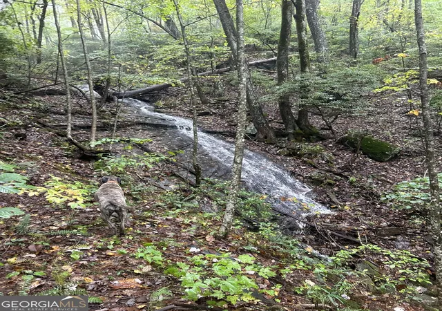 Photo 1 of Land for sale at 1298 Cold Strm Trl, Jasper, GA 30143 | MLS# 10560697 | Listing updated on 2026-08-18