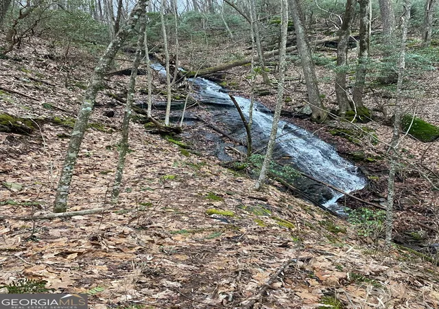 Photo 2 of Land for sale at 1298 Cold Strm Trl, Jasper, GA 30143 | MLS# 10560697 | Listing updated on 2026-08-18