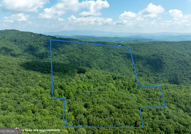 Photo 4 of Land for sale at 1298 Cold Strm Trl, Jasper, GA 30143 | MLS# 10560697 | Listing updated on 2026-08-18