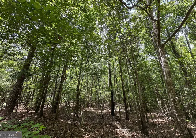 1st image of 982 +/  Acres Springfield Rd, Sparta, GA 31087 | MLS# 10808496