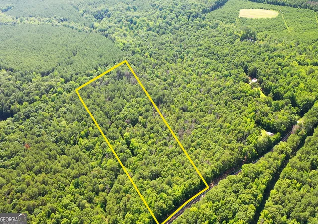 3rd image of 982 +/- Acres Springfield Rd, Sparta, GA 31087 | MLS# 10808496