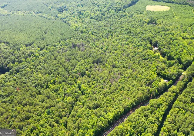4th image of 982 +/- Acres Springfield Rd, Sparta, GA 31087 | MLS# 10808496