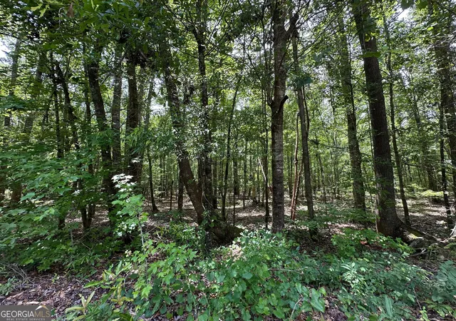 5th image of 982 +/- Acres Springfield Rd, Sparta, GA 31087 | MLS# 10808496