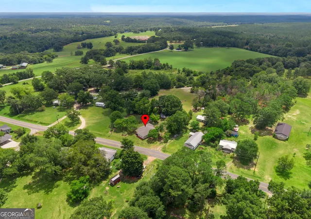 55th image of 1040 Tommy Purvis Jr, Reynolds, GA 31076 | MLS# 10819204