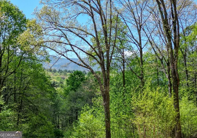 Photo 3 of Land for sale at 370 Taylor Way, Hiawassee, GA 30546 | MLS# 10736036 | Listing updated on 2026-05-21