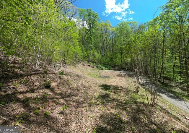 Photo 4 of Land for sale at 370 Taylor Way, Hiawassee, GA 30546 | MLS# 10736036 | Listing updated on 2026-05-21