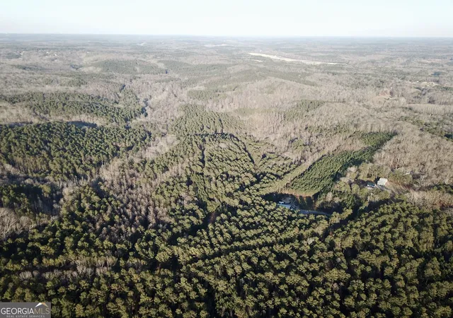 Photo 2 of Land for sale at 0   Tract 1 Mt Zion Church Rd, Whitesburg, GA 30185 | MLS# 10824084 | Listing updated on 2026-08-26