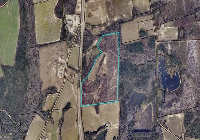 3rd image of 4530 US Hwy 301 S, Register, GA 30452 | MLS# 10762121