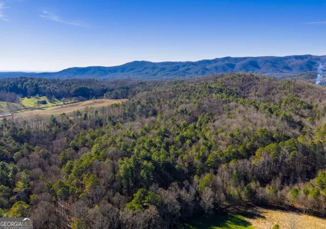 Photo 2 of Land for sale at 1729 Ac Pleasant Oak Trl, Ellijay, GA 30540 | MLS# 10711386 | Listing updated on 2026-03-30