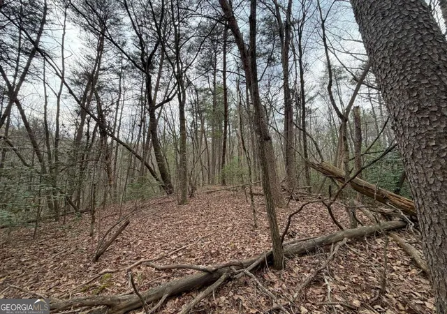 Photo 3 of Land for sale at 1729 Ac Pleasant Oak Trl, Ellijay, GA 30540 | MLS# 10711386 | Listing updated on 2026-03-30