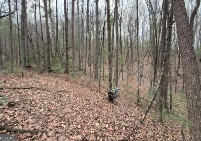Photo 3 of Land for sale at 1729 Ac Pleasant Oak Trl, Ellijay, GA 30540 | MLS# 10711386 | Listing updated on 2026-03-30