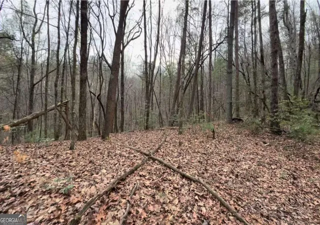 Photo 4 of Land for sale at 1729 Ac Pleasant Oak Trl, Ellijay, GA 30540 | MLS# 10711386 | Listing updated on 2026-03-30