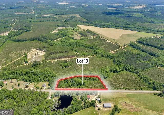 1st image of 19 Hwy 126, Alamo, GA 30411 | MLS# 10784602