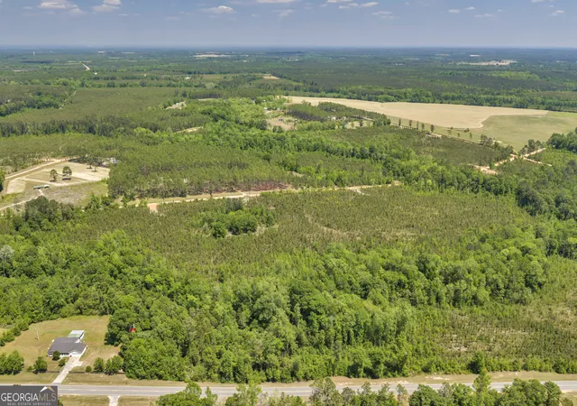 2nd image of 19 Hwy 126, Alamo, GA 30411 | MLS# 10784602